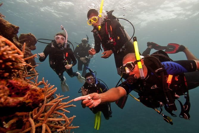 PADI Advanced Open Water Diver Course - Who should book this AOWD course in Unawatuna