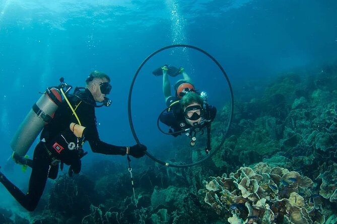 Padi Advanced open Water Diver Courses (Start at Ko Kut) - Food, drinks, and comfort: the onboard value adds up