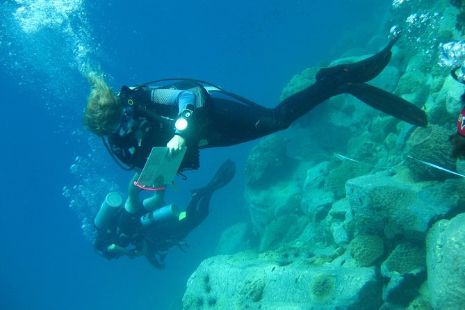 Padi Advanced open Water Diver Courses (Start at Koh Chang) - Planning your own trip: health, timing, and what to ask yourself