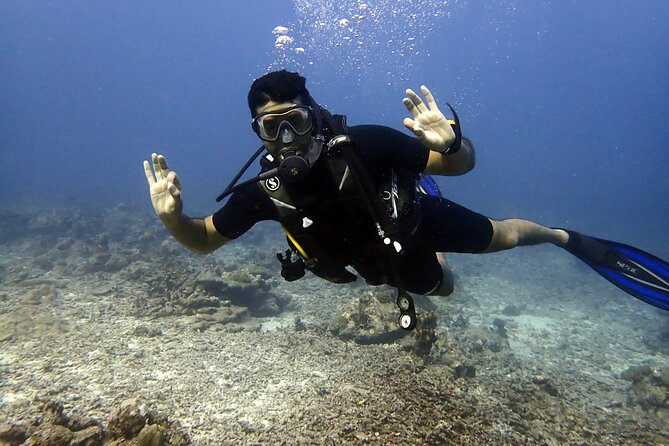 PADI Discover Scuba 2 Times Diving Phuket - Two Underwater Sessions: Learning Control, Then Seeing More Life