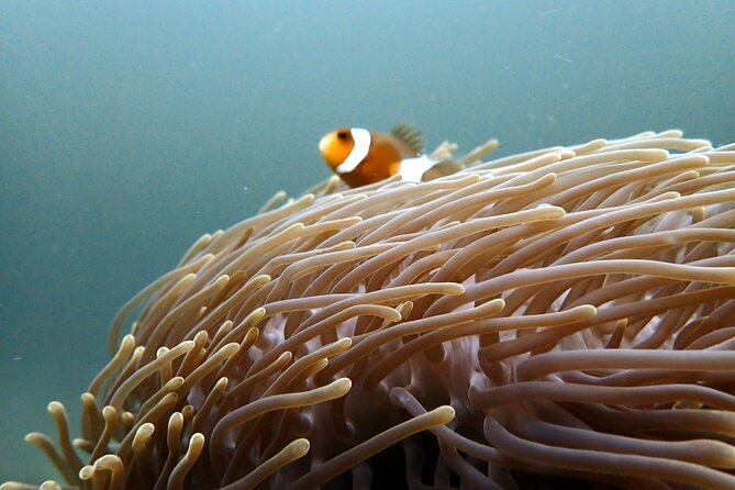 PADI Discover Scuba 2 Times Diving Phuket - What the Day Feels Like On the Water
