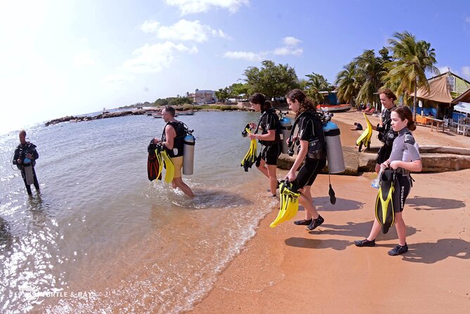 PADI Discover Scuba Dive - Gear Up, Then Take It to the Shallow Bay