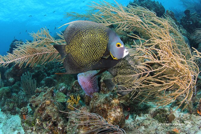 PADI Discover Scuba Dive - Ease of Getting There and What to Bring