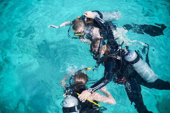 PADI Discover Scuba Dive at 5 Star Dive Center Blue Bay Dive, Curacao - Key highlights at Blue Bay Dive & Watersports