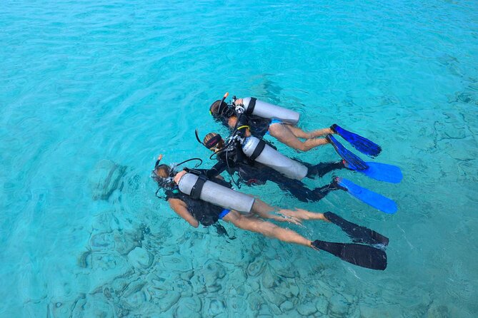 PADI Discover Scuba Dive at Coral Divers Curacao - Key Highlights Worth Knowing