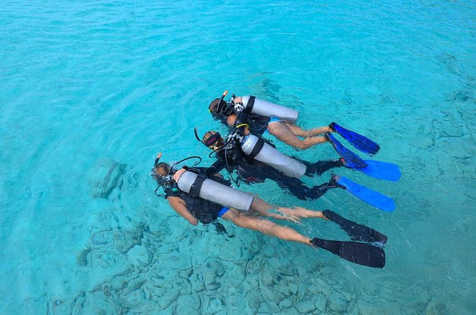PADI Discover Scuba Dive at Coral Divers Curacao - What the Protected Bay Teaches You (Before You See the Reef)