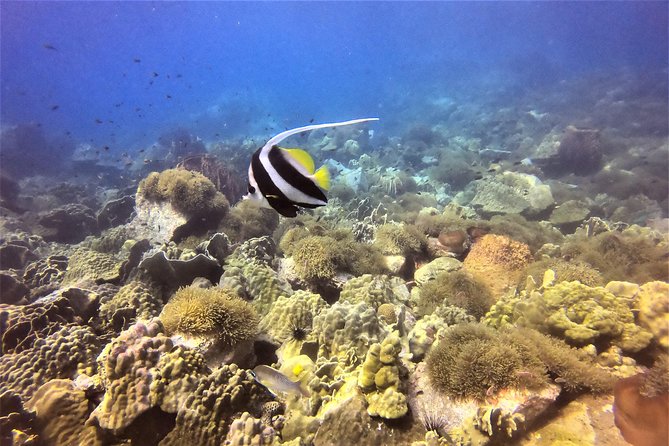 PADI Discover Scuba Dive Experience - Weather, Fitness, and Paperwork: The Practical Stuff to Check
