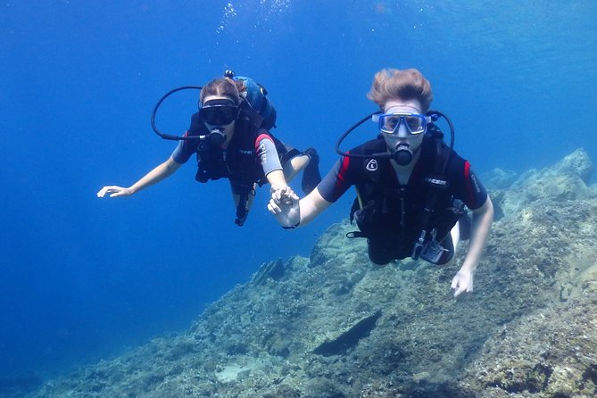 PADI Discover Scuba Diving - Key Things That Make This Costa Maya Course Worth Your Time