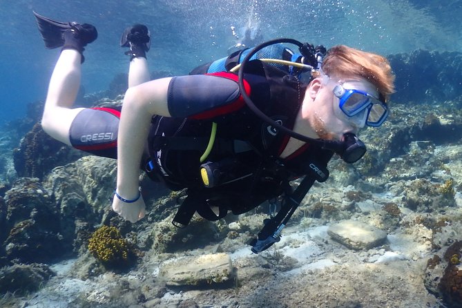 PADI Discover Scuba Diving - Coral Garden Encounters: Fish, Rays, and Reef Life