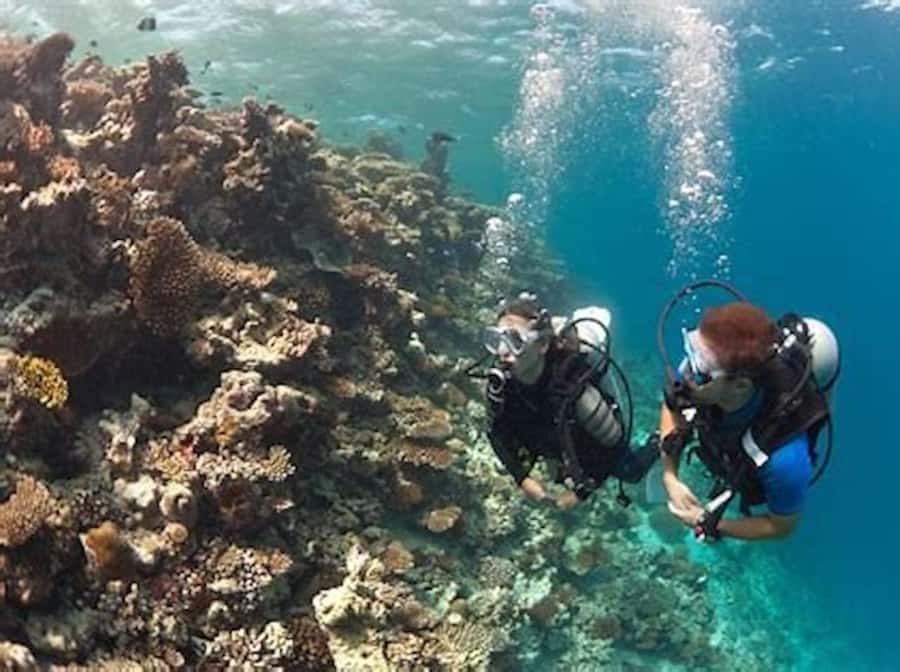 PADI Discover Scuba Diving: at Hol Chan Marine Reserve - Gear and comfort on the boat: what you’re given and what you should bring