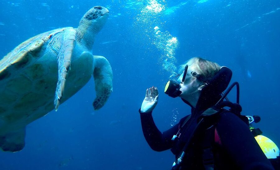 PADI Discover Scuba Diving Course in Tenerife - Booking Advice: Should You Sign Up for This Intro Course?