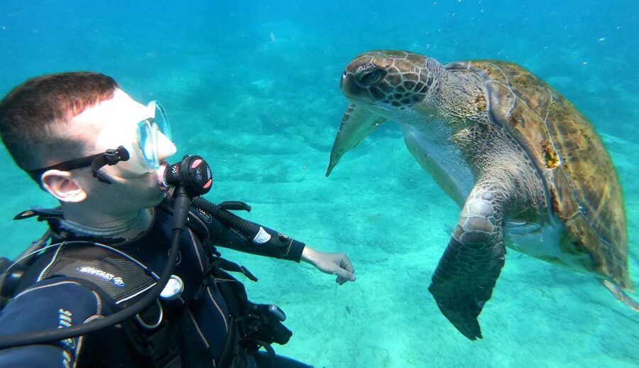 PADI Discover Scuba Diving Course in Tenerife - What You Actually Learn: Skills, Safety, and Marine Etiquette