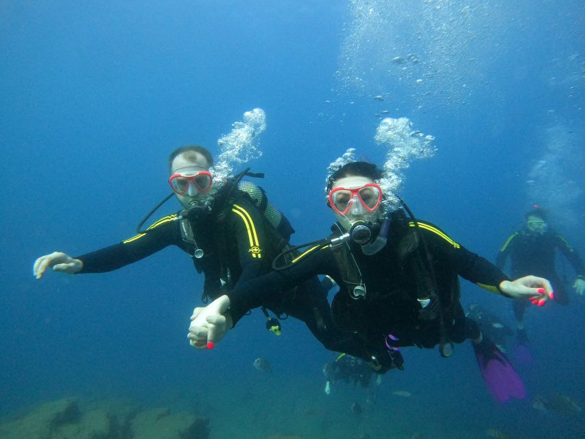 PADI Discover Scuba Diving Course in Tenerife - Certification: Discover Scuba Diver and What It Means