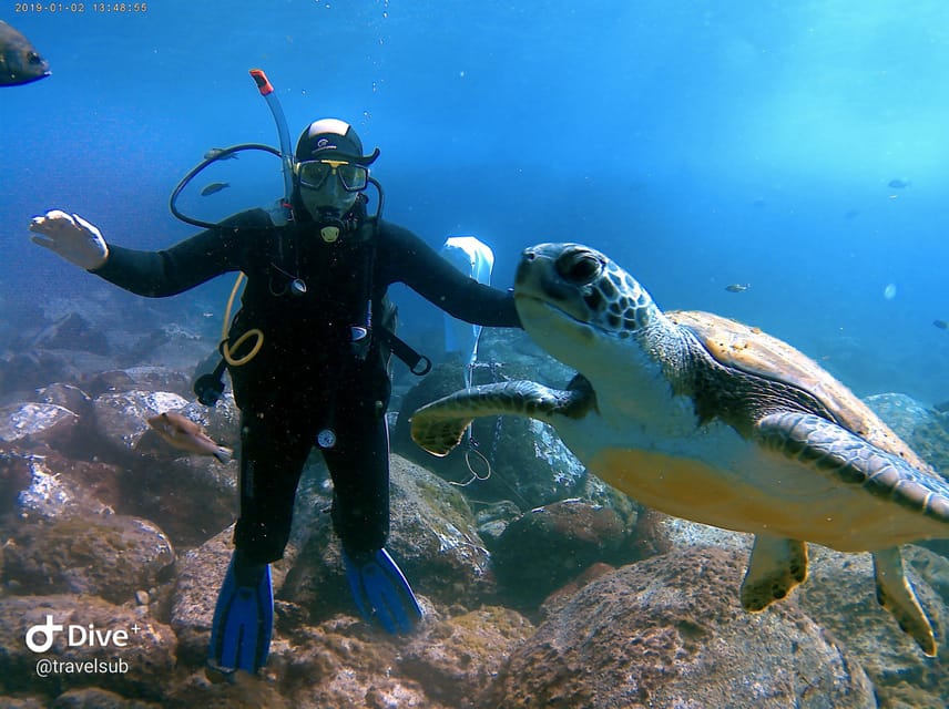 PADI Discover Scuba Diving Course in Tenerife - The 3-Hour Timeline: What You’ll Do (and Why Each Step Matters)