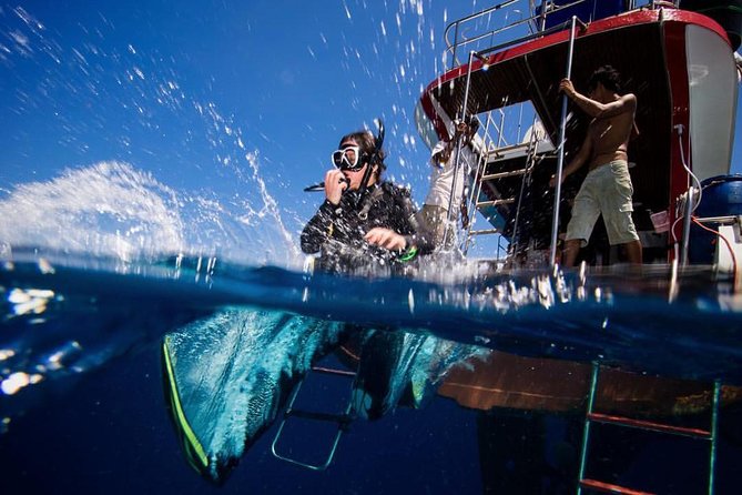 PADI Discover Scuba Diving Experience Full Day Trip - Ko Lanta’s PADI Discover Scuba setup: what makes it feel easy