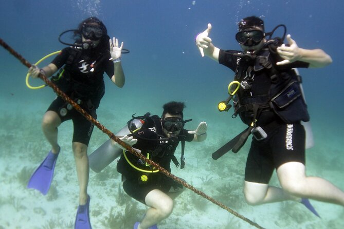 PADI Discover Scuba Diving for divers without certification - Before you go underwater: safety coaching that sets the tone