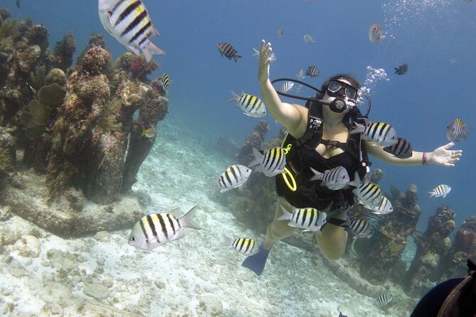 PADI Discover Scuba Diving for divers without certification - Tips that help your first underwater session feel easy