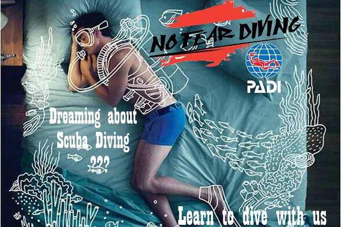 Padi Discover Scuba Diving In Amed Bali - What You Do During the 6-Hour PADI Discover Scuba Intro