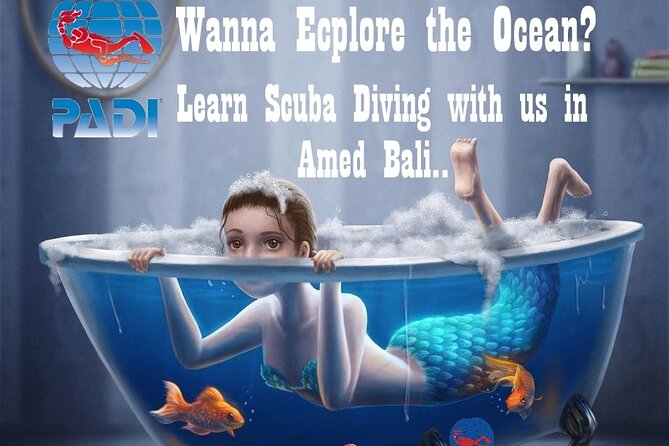 Padi Discover Scuba Diving In Amed Bali - What You’ll See Underwater in Amed