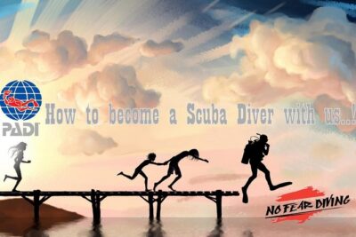 Padi Discover Scuba Diving In Amed Bali - A Small Group and a Calm Instructor Team