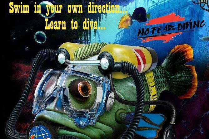 Padi Discover Scuba Diving In Amed Bali - Learning Without Certification Pressure