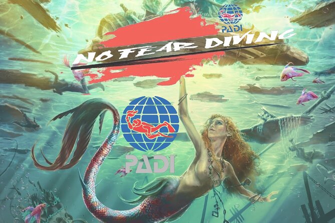 Padi Discover Scuba Diving In Amed Bali - Price and Value: Is $185.37 a Good Deal?