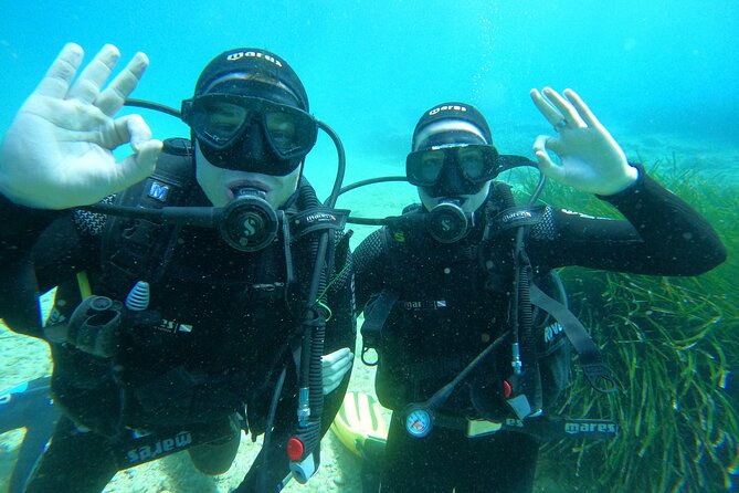PADI Discover Scuba Diving in Dubrovnik - Key highlights before you book