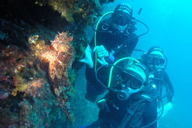 PADI Discover Scuba Diving in Dubrovnik - The Break Above Water: Why the 1.5-Hour Reset Matters