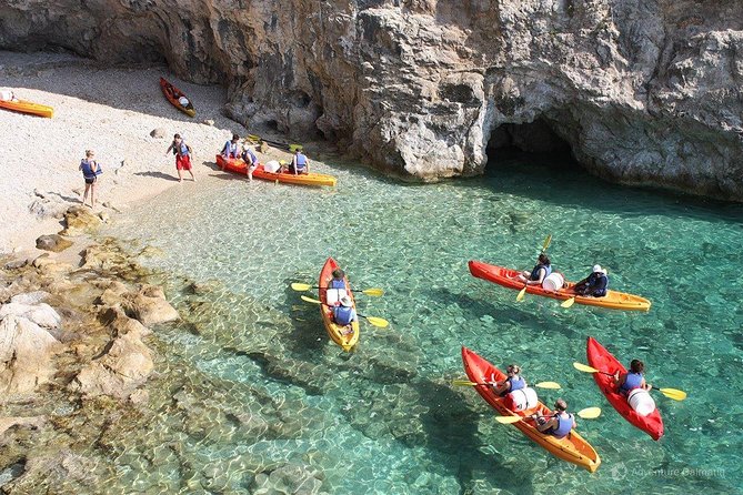 PADI Discover Scuba Diving in Dubrovnik - What You’ll See Underwater in the Adriatic: Expectations for Fish and Octopus