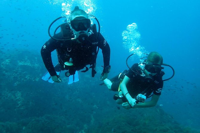 PADI Discover Scuba Diving in Koh Tao - half day and two dives - Where this Koh Tao half-day SCUBA trial really shines