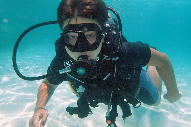 PADI Discover Scuba Diving in Koh Tao - half day and two dives - Meeting at Scuba Birds: what the 10:30 start means for you