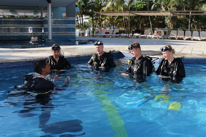 PADI Discover Scuba Diving in Playa del Carmen - Key Highlights Before You Go