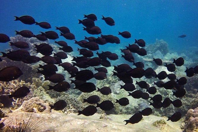 PADI Discover Scuba Diving - introduction program for beginners - Your instructor and the small-group setup that keeps things calm