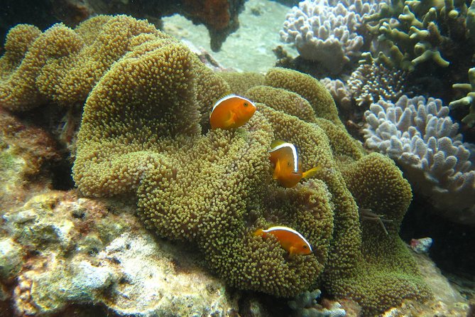 PADI Discover Scuba Diving - introduction program for beginners - Price and value: is $92.18 worth it?