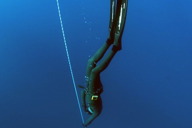 PADI Freediver Course - Two possible paths: full Freediver skills vs the Basic Freediver (6m maximum)