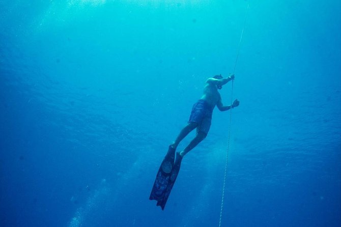 Padi Freediver, learn how to freedive and get your first license (at Koh Chang) - Price and value: what your ~$390 really covers