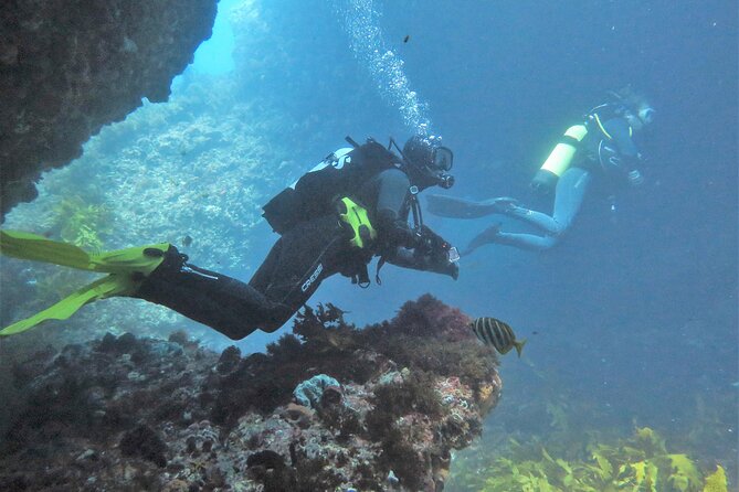 PADI Open Water Course - Rottnest Island on day 3: private boat, full-day training, and real payoff