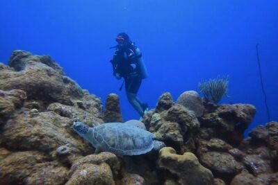 PADI Open Water Course in 3 Days - Day 1: Video, Exam, and Confined-Water Skills
