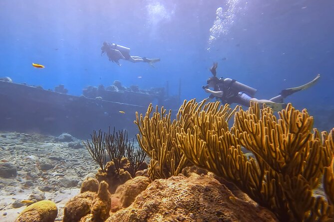 PADI Open Water Course in 3 days - Meet Julien and Are: the instructor vibe you’ll feel on day one
