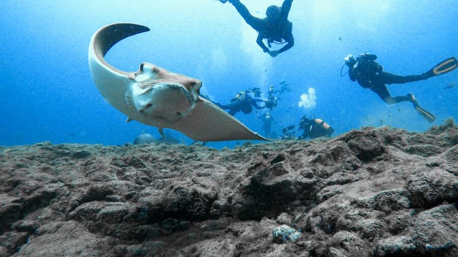 PADI Open Water Course in 3 Days - Who Should Book This Course—and Who Might Be Happier Elsewhere?