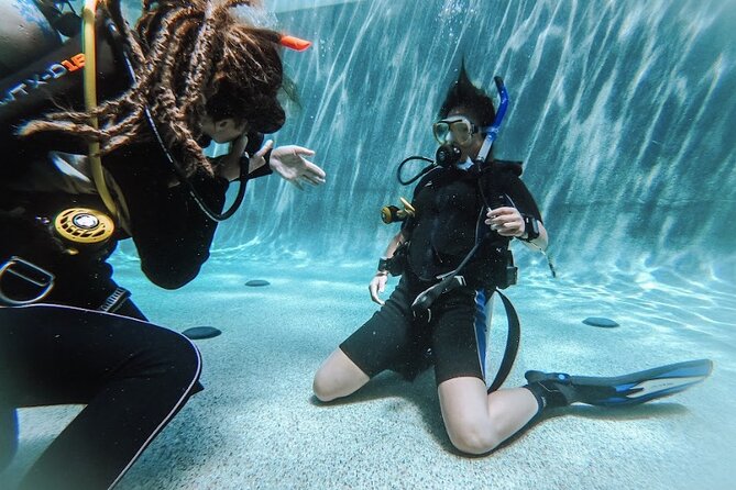 PADI Open Water Course in Cabo San Lucas - Your “Homework” Phase: eLearning That Fits Real Schedules