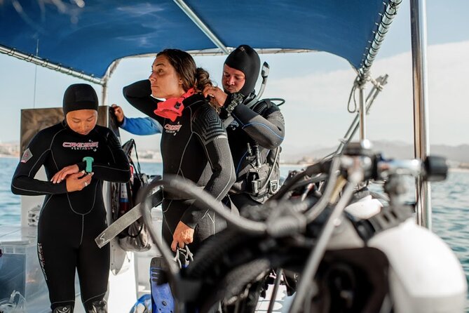 PADI Open Water Course in Cabo San Lucas - The Pool Day: Skills, Equipment, and Confidence Building