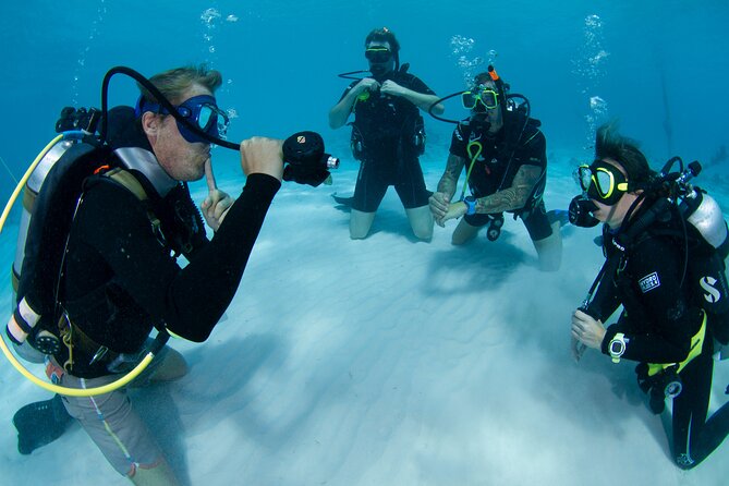 PADI Open Water Course in Curacao - Key Highlights You’ll Actually Care About