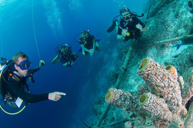 PADI Open Water Course in Curacao - PADI Open Water in Curaçao: The Small-Group Setup That Makes It Work