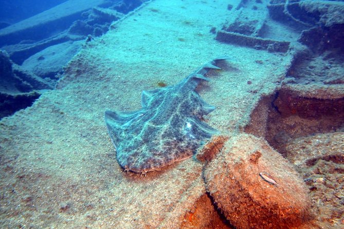 PADI Open Water Course in Gran Canaria - Day 2: Beach Training and Controlled Comfort Off the Coast
