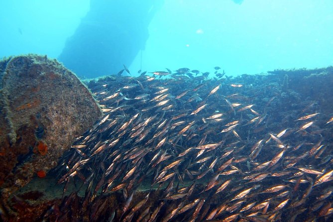 PADI Open Water Course in Gran Canaria - Price and Value: Is $549.09 Worth It?