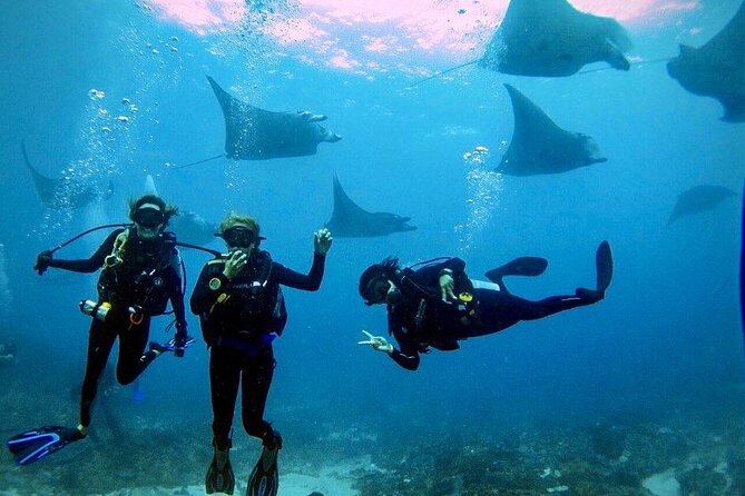 PADI Open water Course in Lembongan - Get certified & dive anywhere in the world - Key takeaways before you book
