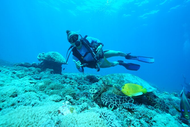 PADI Open water Course in Lembongan - Get certified & dive anywhere in the world - The team and the safety vibe (the part that matters most)
