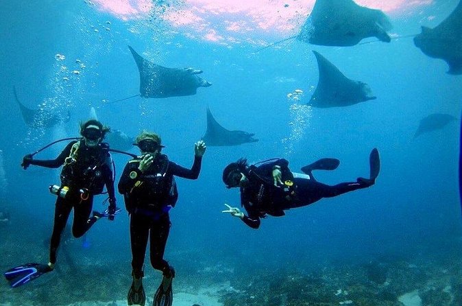 PADI Open water Course in Lembongan - Get certified & dive anywhere in the world - Where you start: Jungut Batu, 8:00 am, and the Nusa Penida factor