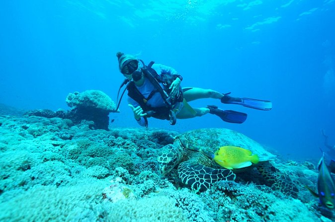 PADI Open water Course in Lembongan - Get certified & dive anywhere in the world - Value check: is $425 a fair price for three days?